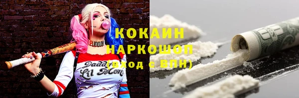 стаф Карпинск