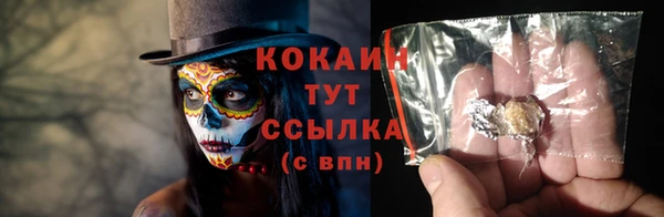 стаф Карпинск
