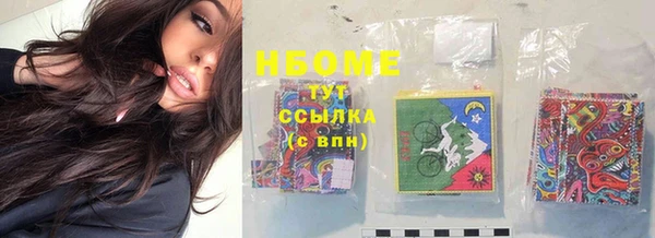 стаф Карпинск